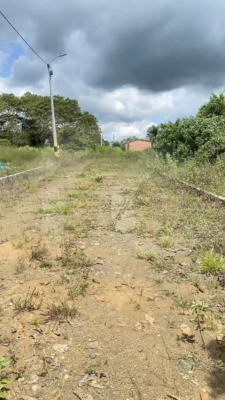 Portales de san isidro